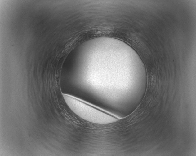 X0000079331250200611170947
