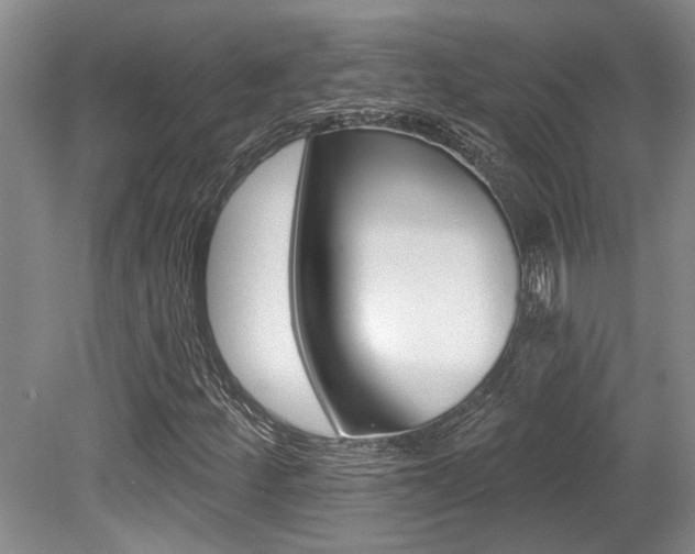 X0000079331252200611170947