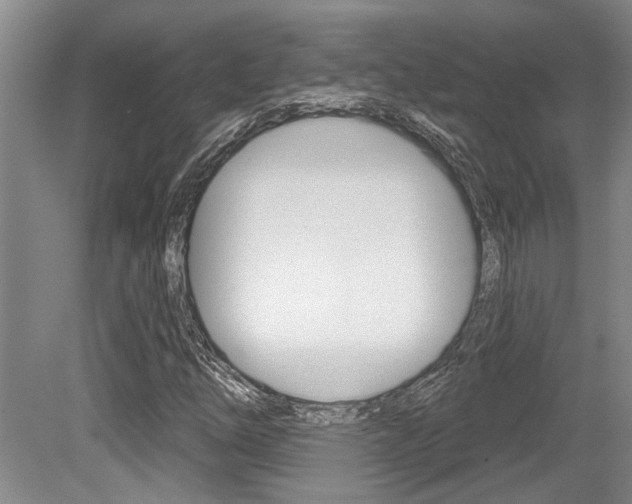X0000079331254200611170947