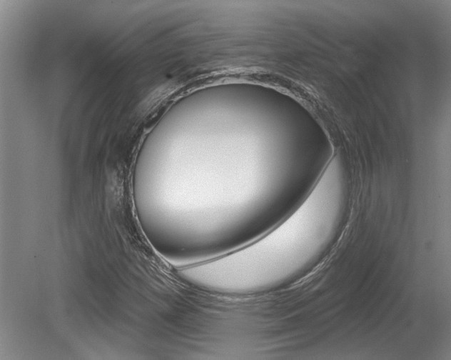 X0000079331257200611170947