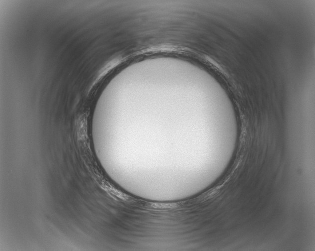 X0000079331258200611170947