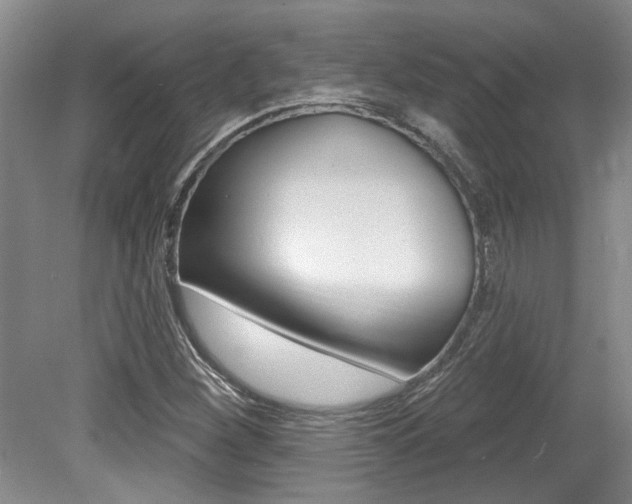 X0000079331260200611170947