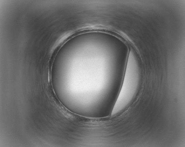 X0000079331269200611170947