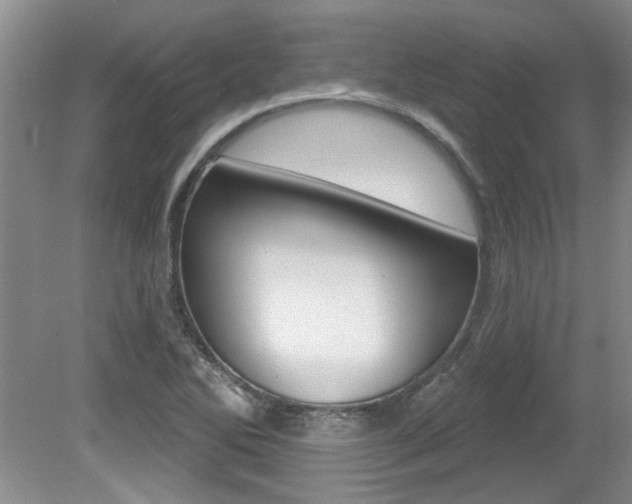 X0000079331270200611170947