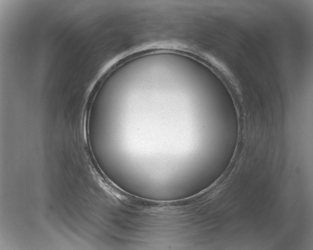 X0000079331272200611170947