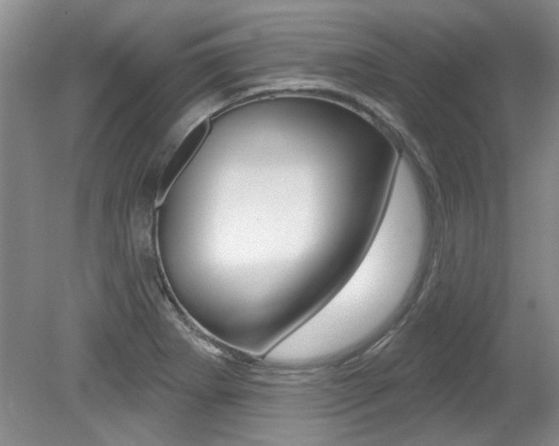 X0000079331273200611170947