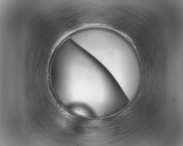 X0000079331279200611170947