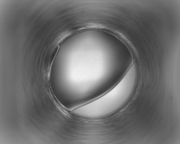 X0000079331281200611170947
