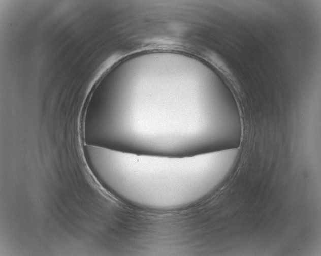 X0000079331283200611170947