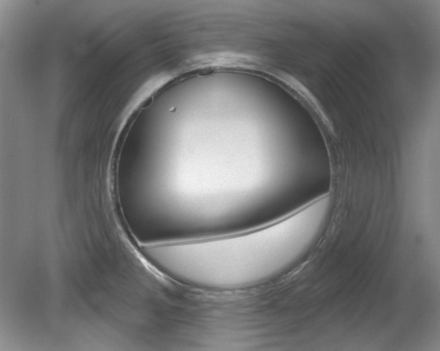 X0000079331285200611170947