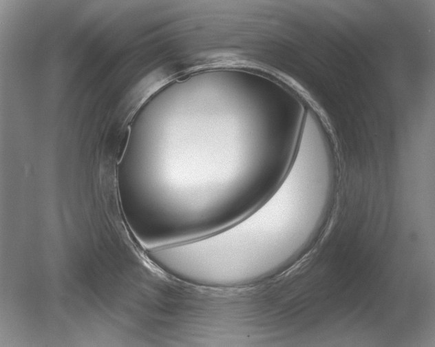 X0000079331289200611170947