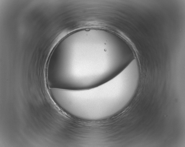 X0000079331291200611170946