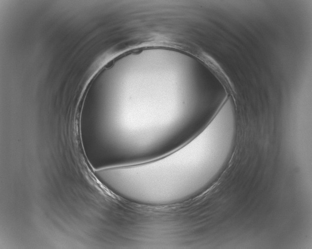 X0000079331292200611170946