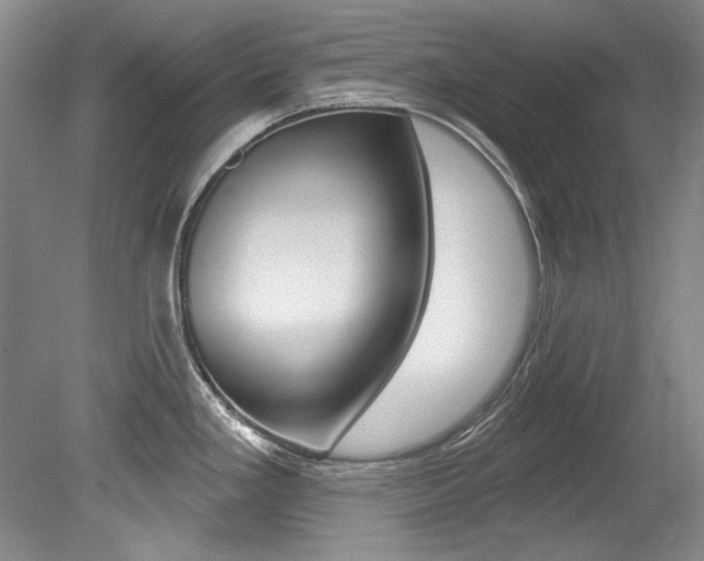 X0000079331293200611170946