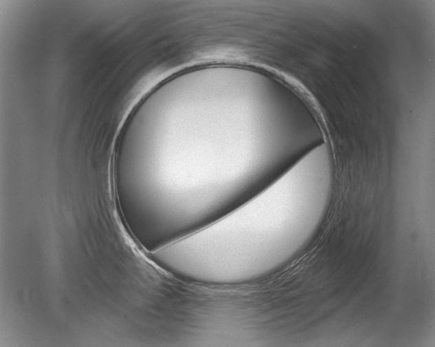X0000079331295200611170946