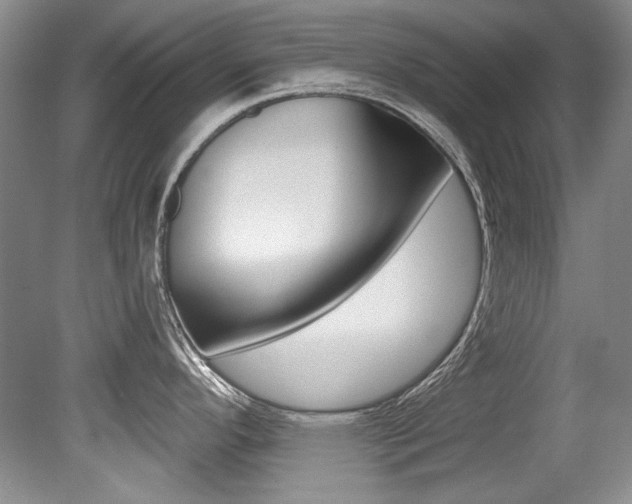 X0000079331296200611170946