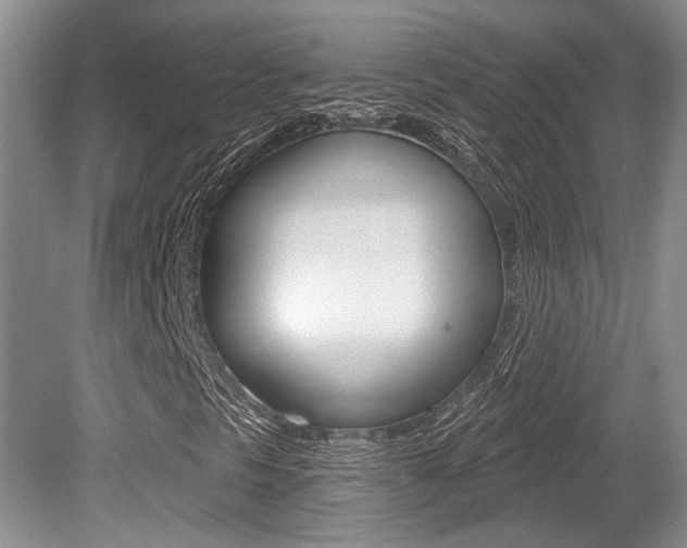 X0000079331297200611170946