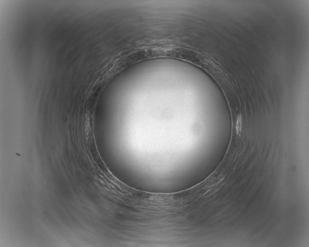 X0000079331299200611170946