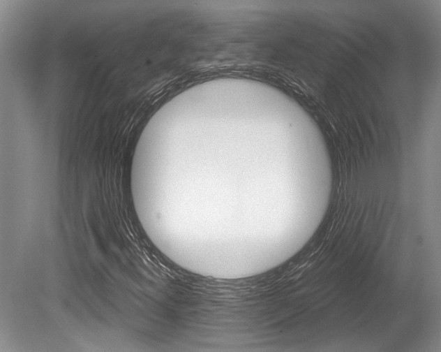 X0000079331300200611170946