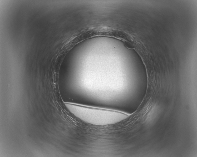 X0000079331301200611170946
