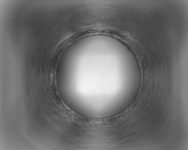 X0000079331302200611170946