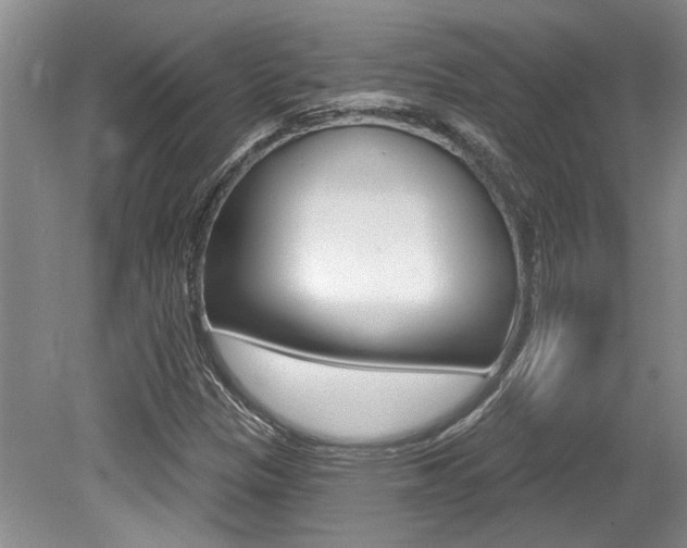 X0000079331305200611170946