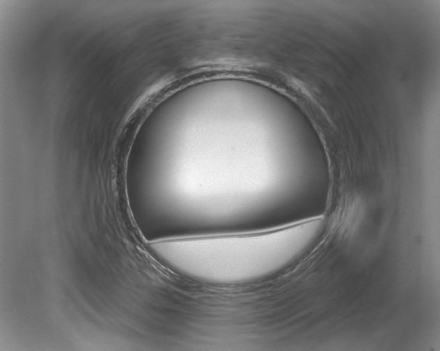 X0000079331307200611170946