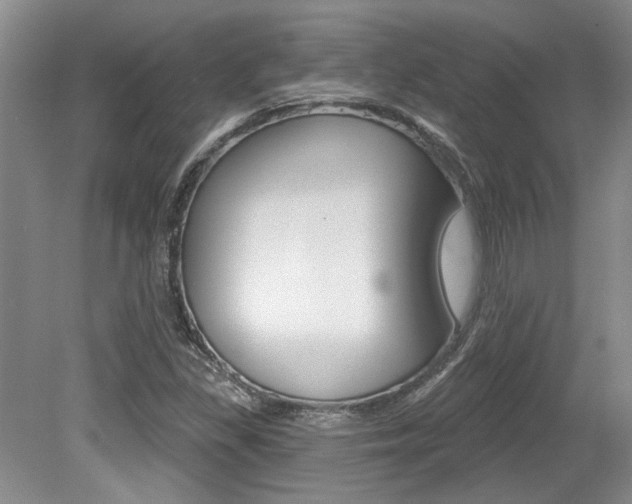 X0000079331309200611170946
