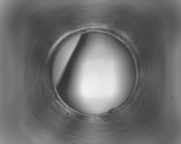 X0000079331310200611170946