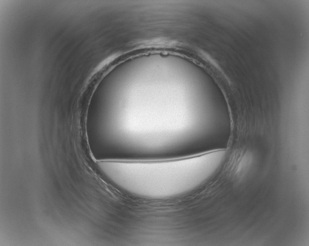 X0000079331315200611170946