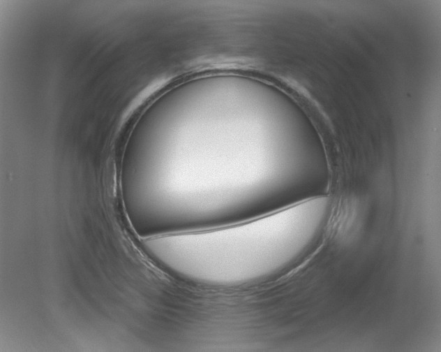 X0000079331317200611170946