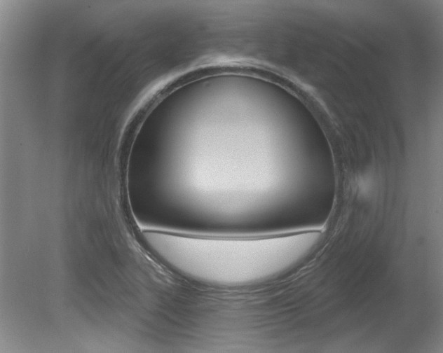X0000079331319200611170946