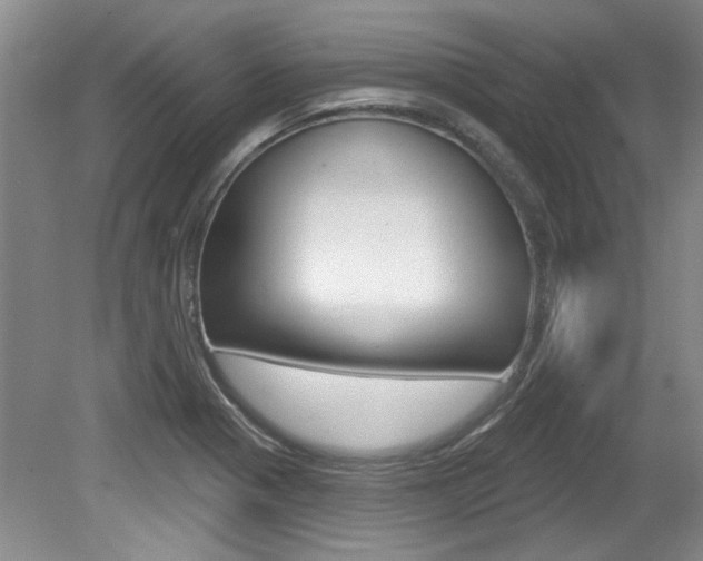 X0000079331321200611170946