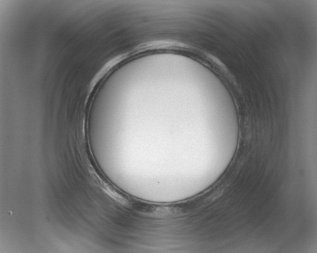 X0000079331322200611170946