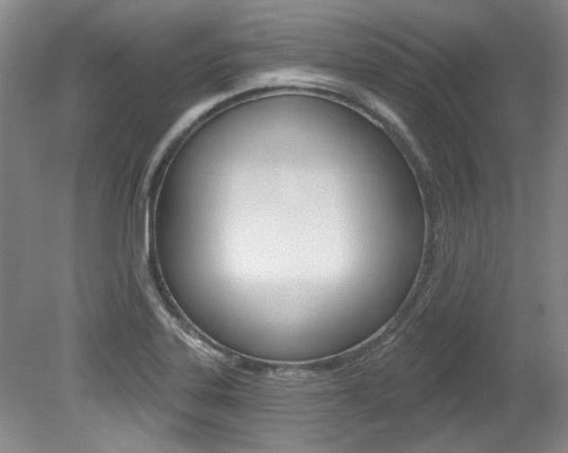X0000079331323200611170946