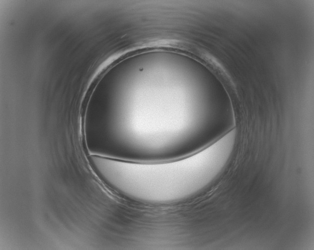 X0000079331324200611170946