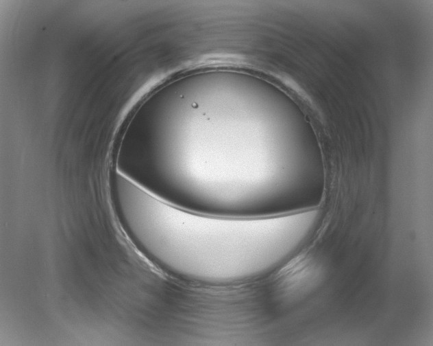 X0000079331325200611170946