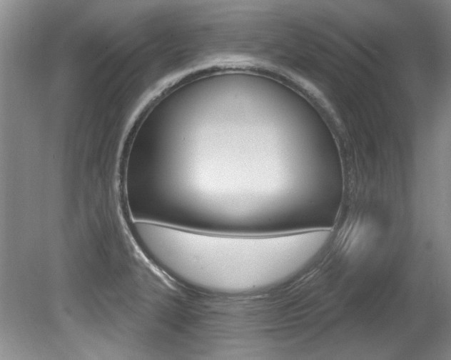 X0000079331327200611170946