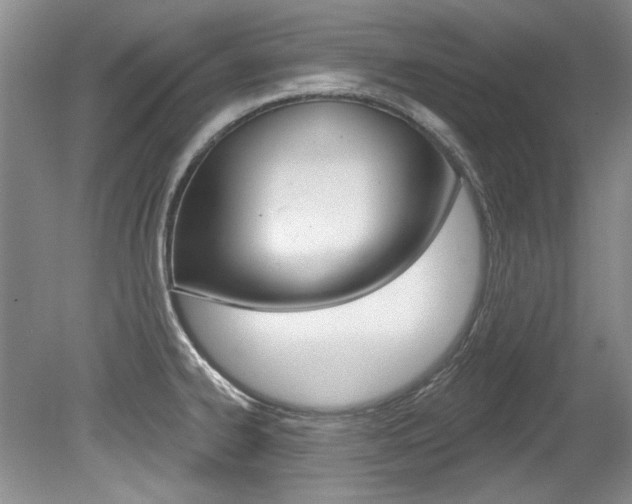 X0000079331334200611170946