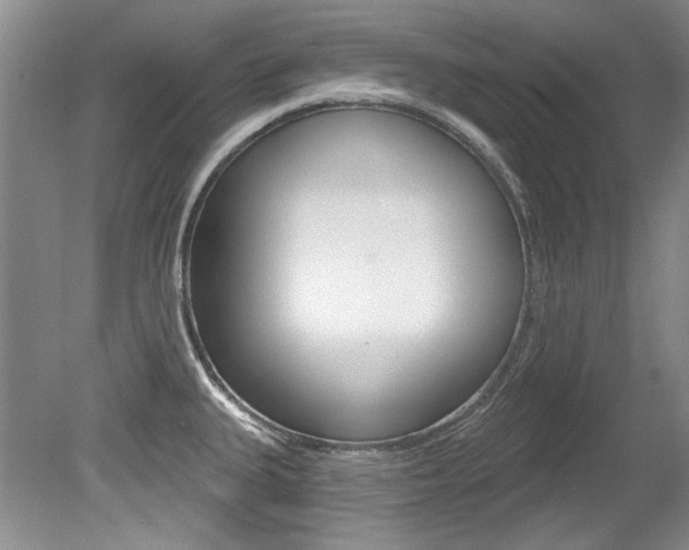 X0000079331335200611170946
