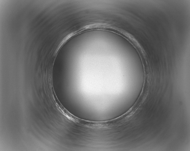X0000079331337200611170946