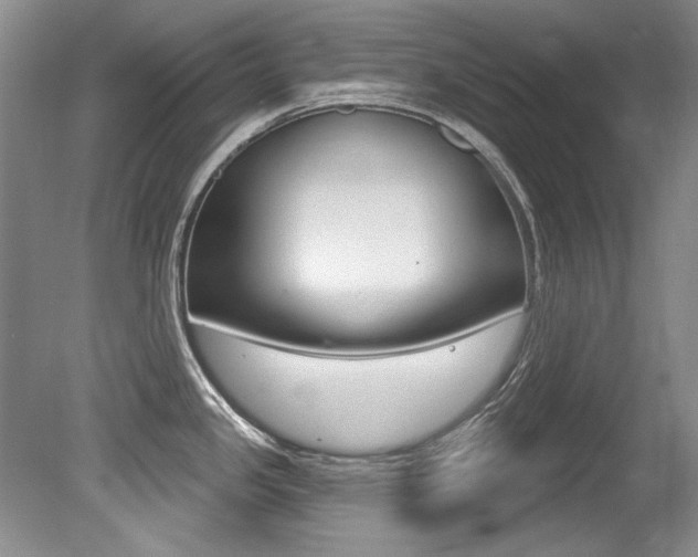 X0000079331341200611170946