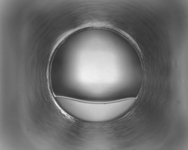 X0000079331343200611170946