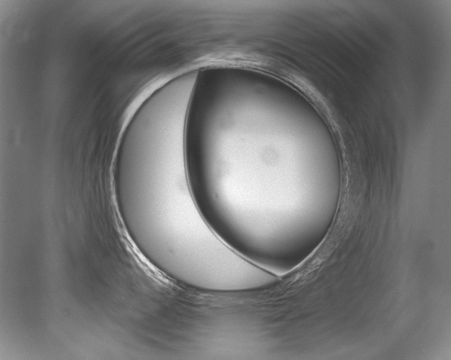 X0000079331344200611170946