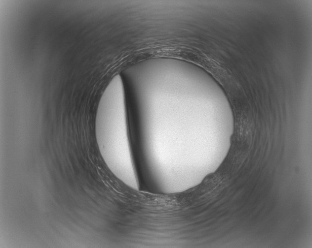 X0000079331346200611170946
