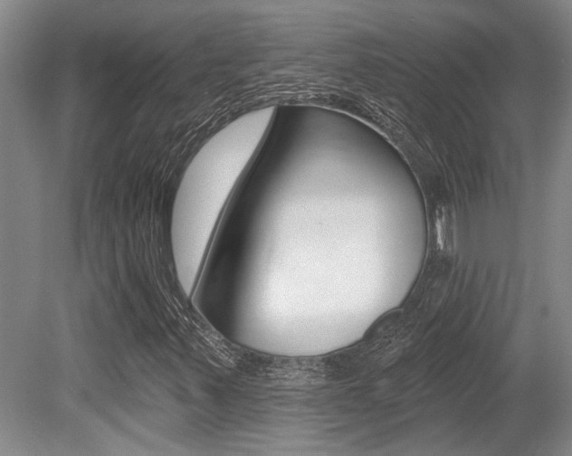 X0000079331347200611170946