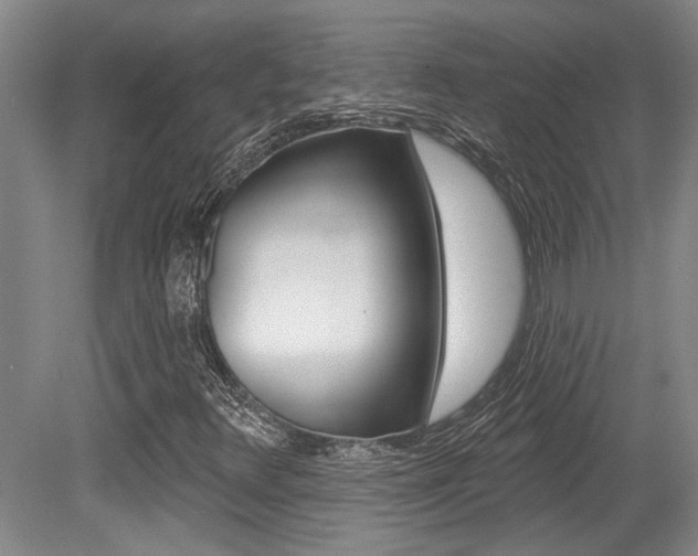 X0000079331348200611170946