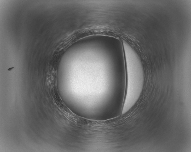X0000079331349200611170945