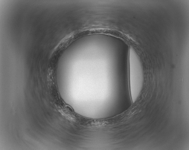 X0000079331351200611170945