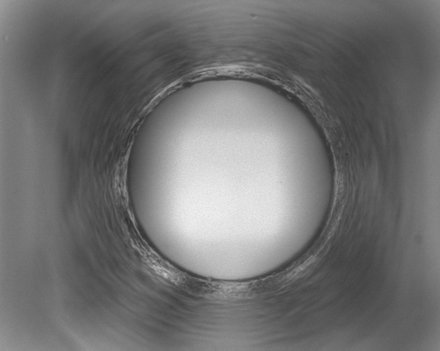 X0000079331353200611170945